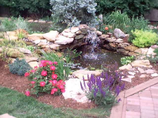 dsc00008.jpg